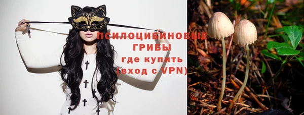 меф Алексин