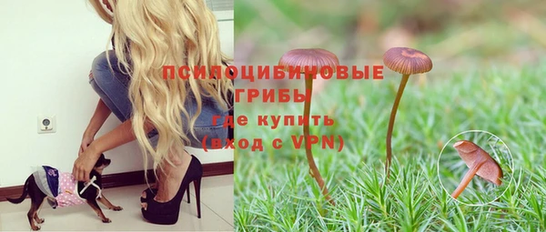 прущая мука Алзамай