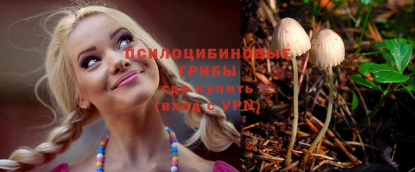 прущая мука Алзамай